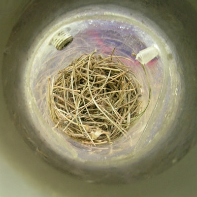 Treatment of low-loaded off-gases