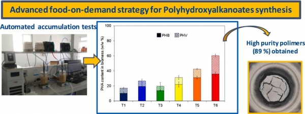 New Publication- Polyhydroxyalkanoates production by an advanced food-on-demand strategy: The effect of operational conditions