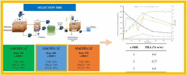 New Publication- Effect of organic loading rate on the production of Polyhydroxyalkanoates from sewage sludge