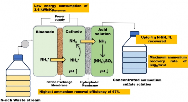 New Publication- Continuous high-purity bioelectrochemical nitrogen recovery from high N-loaded wastewaters