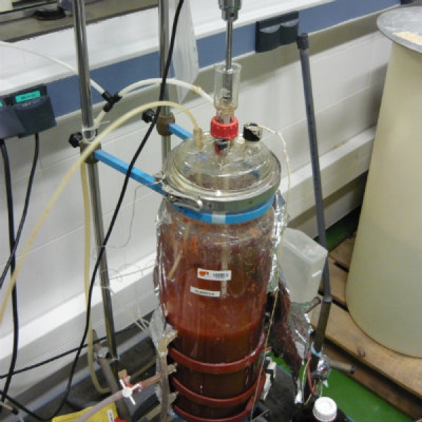 Treatment of reject water from dewatering digested sludge process