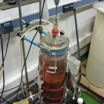 Treatment of reject water from dewatering digested sludge process