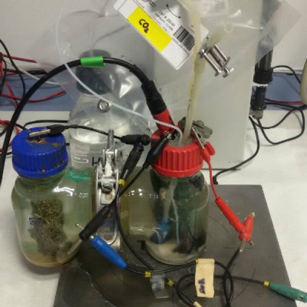 Upgraded biological reduction processes using bioelectrochemical systems