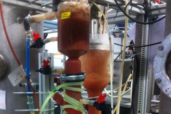 Life SAVING-E project looks for a postdoc