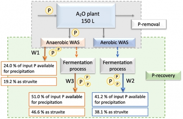 New Publication- Evaluating the opportunities for mainstream P-recovery in anaerobic/anoxic/aerobic systems
